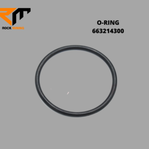 O-RING
