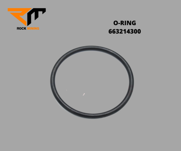 O-RING