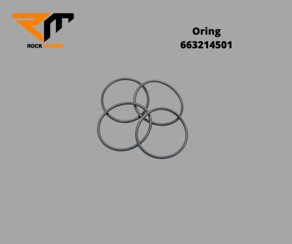 O-RING