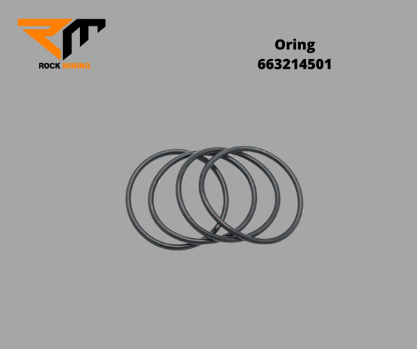 O-RING - Imagen 2