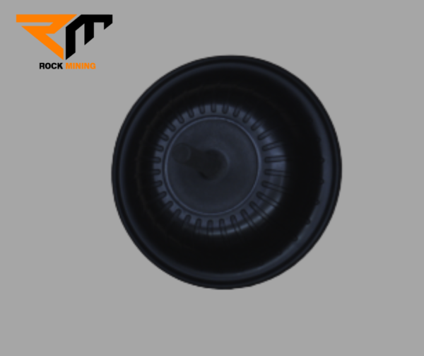 DIAPHRAGM