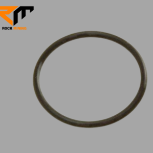 SEAL RING 70