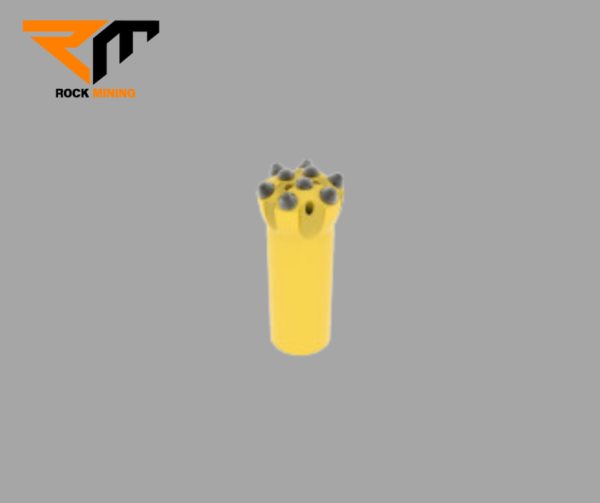 SR35 BUTTON BIT 48mm