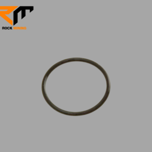 SEAL RING