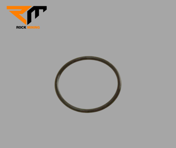 SEAL RING