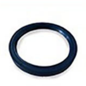 Radial Lip Seal 0666671800