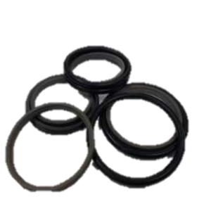 Seal ring kit
