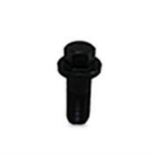 Screw 55003400