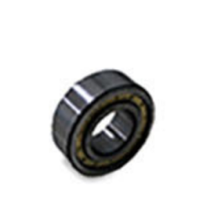 Cyln. Rol. Bearing 87180669