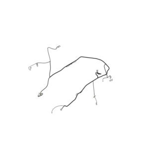 644K Engine Frame Harness