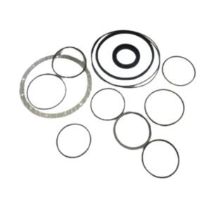 Seal Kit 20/950511 JCB