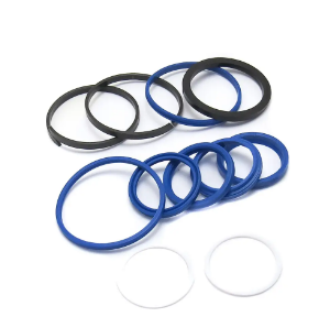 Seal Kit 44817205 JCB
