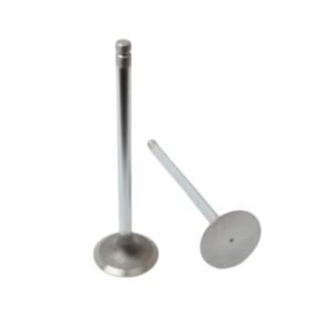 Inlet Valve 02/301255 JCB