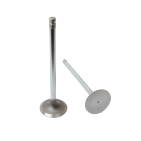Inlet Valve 02/301255 JCB